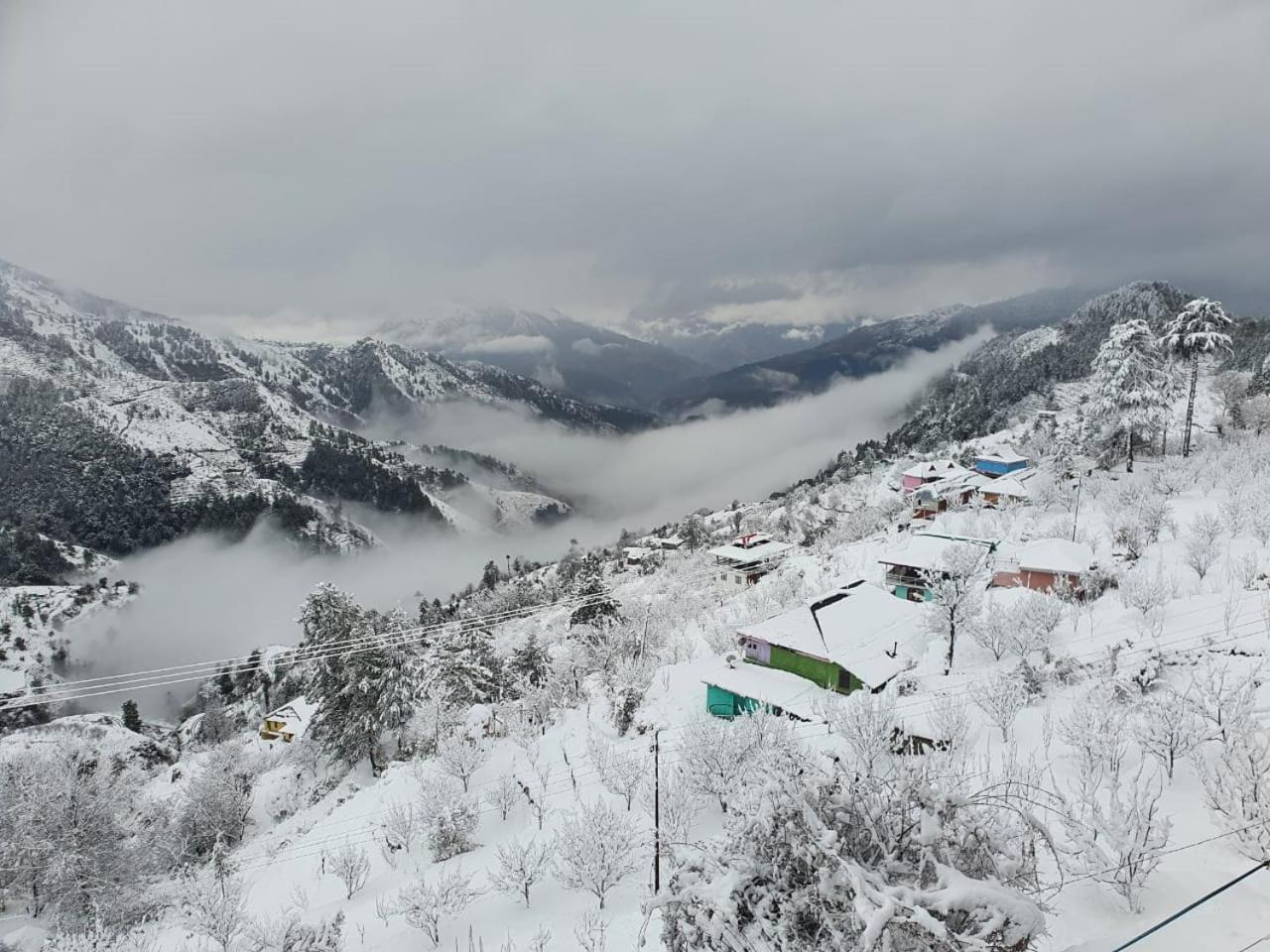 Ashirwad Near Kufri *